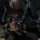 009 Shelob