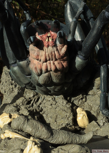 006 Shelob.jpg