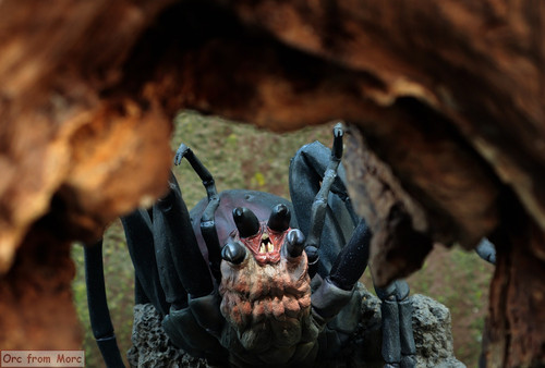 016 Shelob.jpg