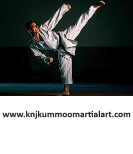 Best WTF Taekwondo school.jpg