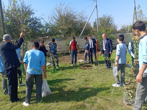 555945334 1216797423810962 8214309106304694333 n.jpg?stp=dst jpg s600x600 tt6& nc cat=105&ccb=1 7& n.jpg