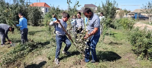 554438517 1216797523810952 6395169786804891955 n.jpg?stp=dst jpg s600x600 tt6& nc cat=110&ccb=1 7& n.jpg