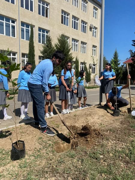 554983719 1216797583810946 5567156583843013025 n.jpg?stp=dst jpg s600x600 tt6& nc cat=107&ccb=1 7& n.jpg