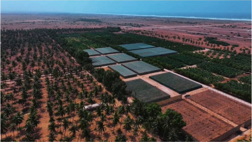 vWZ0YgrPTmeBz 5Y.jpg