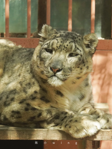 IMG 20250926 212745.png