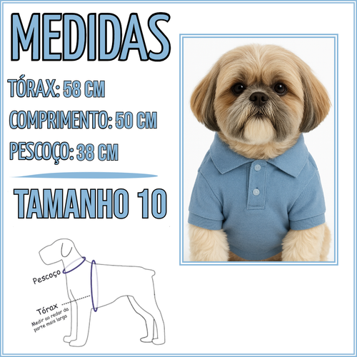 MEDIDAS TAM 10 PET.png