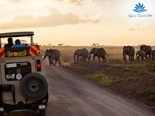 Unforgettable Journeys with Top Tours & Travel Companies in Nairobi 🐘🌅.png