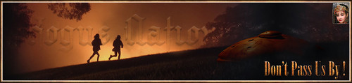 FleeGals Banner.jpg
