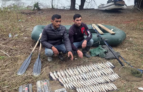 554109566 1202947658532750 559347340045471283 n.jpg?stp=dst jpg s600x600 tt6& nc cat=104&ccb=1 7& nc.jpg