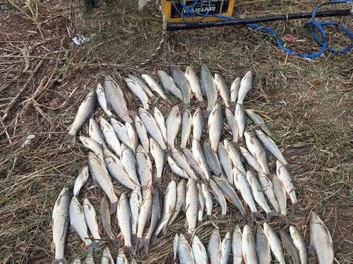 555906483 1202947555199427 4508067505338863107 n.jpg?stp=dst jpg s600x600 tt6& nc cat=107&ccb=1 7& n.jpg