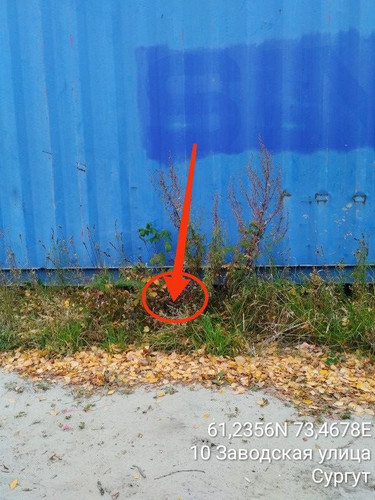 IMG 1896DB6DA895 9.jpg