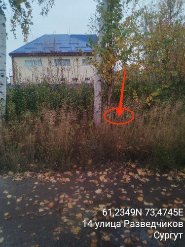 IMG 1896DB6DA895 6.jpg