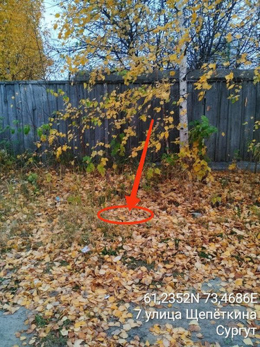 IMG 1896DB6DA895 8.jpg