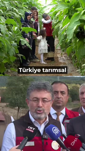 s2JHx7JAa idXIL .jpg