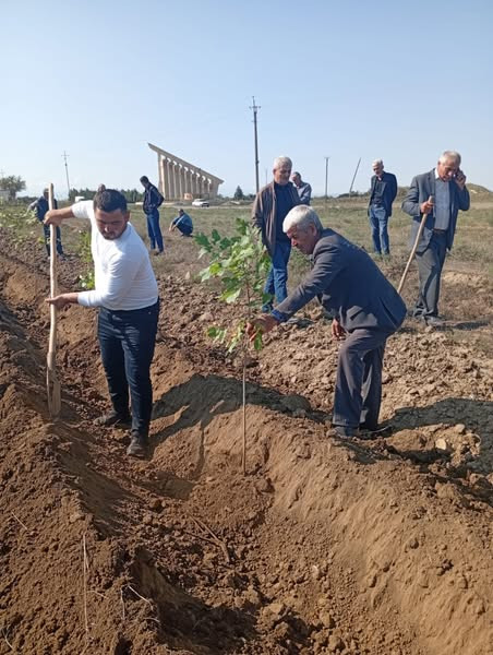 553552170 1216670133823691 1544130320069766828 n.jpg?stp=dst jpg s600x600 tt6& nc cat=108&ccb=1 7& n.jpg