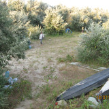 Острів Прорва