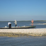 Мушляні острівці