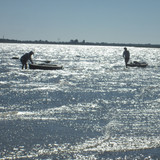 Жебріянська затока