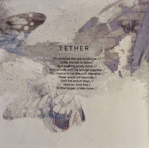 White Moth Black Butterfly the Cost of dreaming cd7.jpg