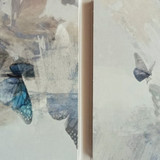 White Moth Black Butterfly the Cost of dreaming cd5