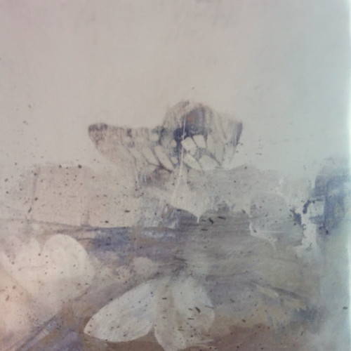 White Moth Black Butterfly the Cost of dreaming cd20.jpg