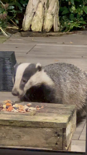 QxJWeGfKGryF6s v.jpg