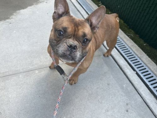 G1FcgyaaQAAoZW ?format=png.png