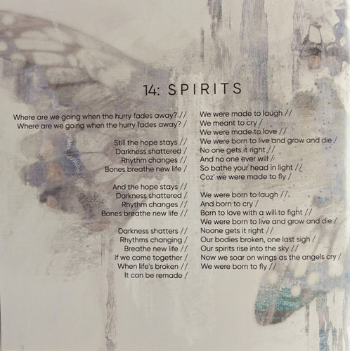 White Moth Black Butterfly the Cost of dreaming cd19.jpg