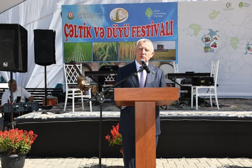 553311494 1346012804201547 2869440011182456464 n.jpg?stp=dst jpg p526x395 tt6& nc cat=103&ccb=1 7& n.jpg