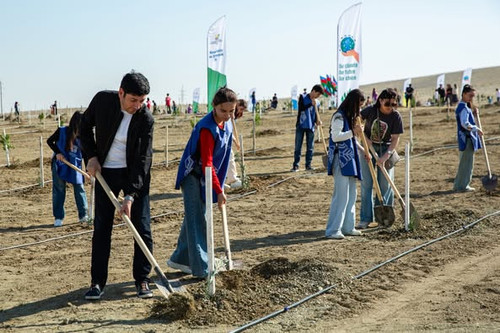 556251772 1211490567688732 5003581844776759884 n.jpg?stp=dst jpg p526x395 tt6& nc cat=101&ccb=1 7& n.jpg