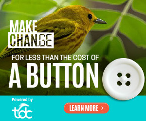 TDC CamPaign DigitalAds1 Resizes 250723 300x250.jpg