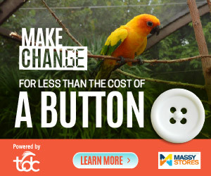 TDC CamPaign DigitalAds2 Resizes 250723 300x250.jpg