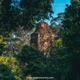 82851778 1474552479378003 1501805331603259392 o