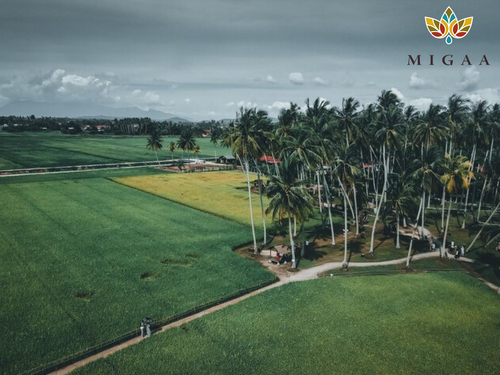 Premium Plots for Sale in Nairobi 🌿🏡.png