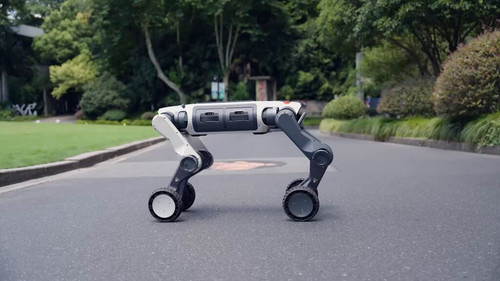 p9OStnJF0WLw sVy.jpg