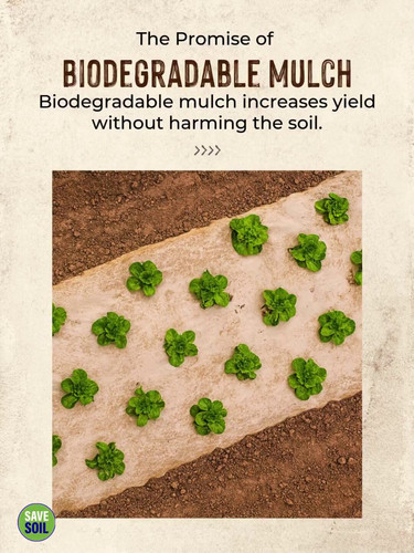 8YWdR7FEj ylZyLo.jpg