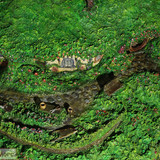 005 Bag End Collectors Edition repainted