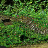 014 Bag End Collectors Edition repainted