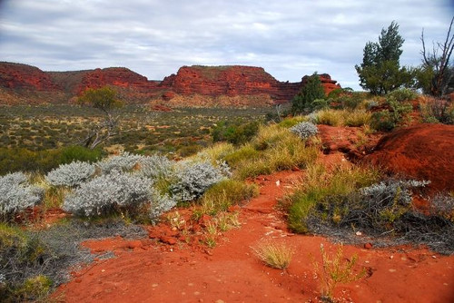 Palm Valley with one of the ranges in the background.jpg