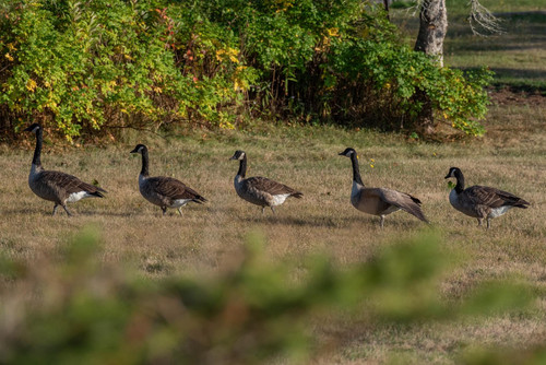 555433688 32219730744292372 6594048877093949723 n.jpg