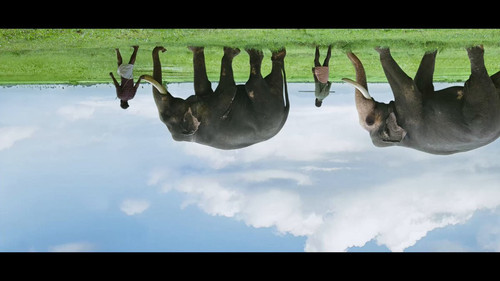 Z1kYs qGdaqz1l k.jpg