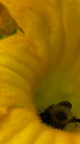 aiap 8Ut9TFgkhIf.jpg