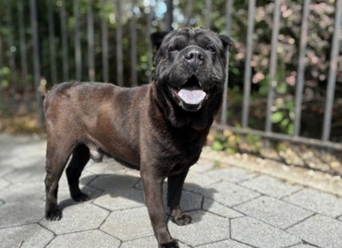 G003fyxWwAAu oK?format=jpg.jpg