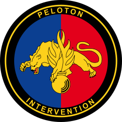 Emblème Peloton d'intervention (PI).svg.png