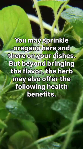 B9DQvFdSJ o9C9iF.jpg