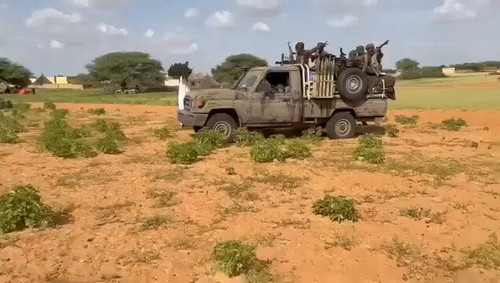 nSvkU7S9 QmpBlyS.jpg