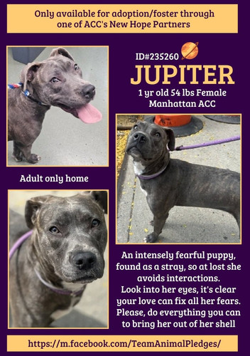 GzsMBjJW0AAJ oo?format=jpg.jpg