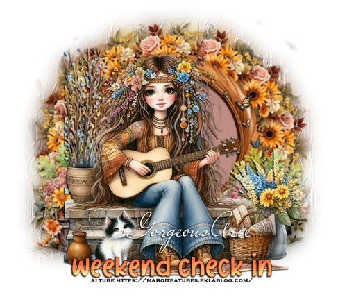 Maboiteatubesweekendcheckinn25garie