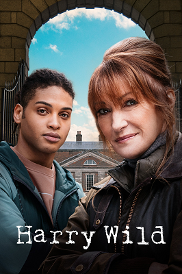Harry Wild - La signora del delitto - Stagione 2 (2023).mkv WEB-DL 1080p ITA ENG DD2.0 H.264 [Completa]
