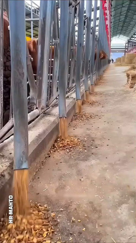 NkVbn u ajRbaajm.jpg